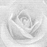 ascii art rose