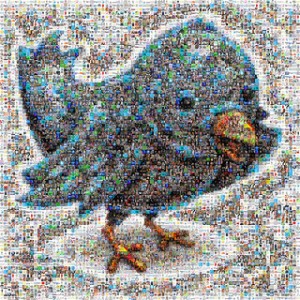 twitter bird mosaic